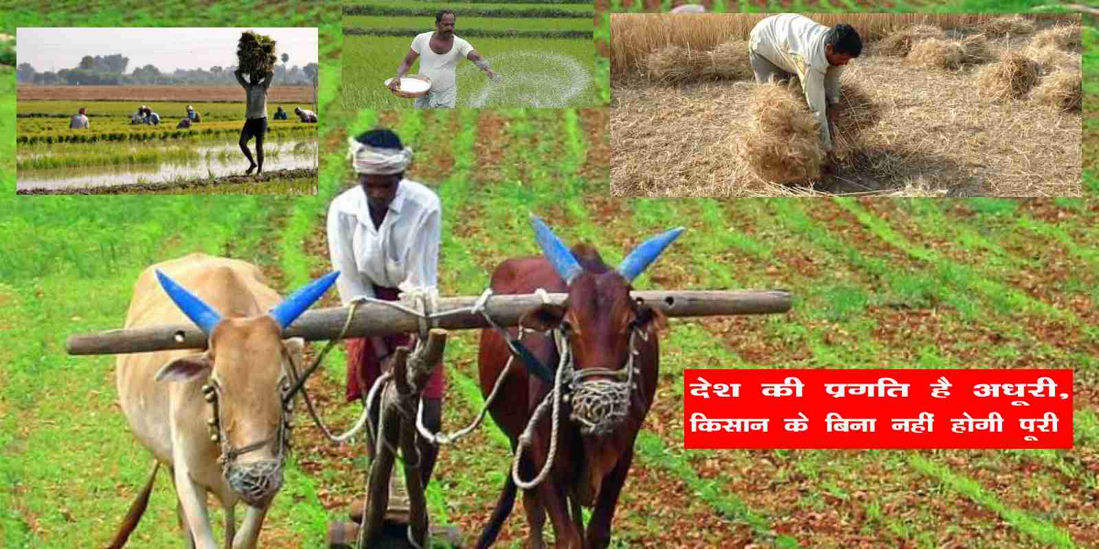 Atmanirbhar Farmer Kisan